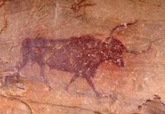 image017.jpg